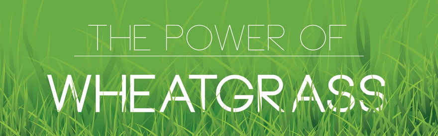 7 Evidence-Based Benefits of Wheatgrass