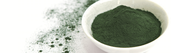 Chlorella: 2 billion years of protein, amino acids, vitamins & minerals!
